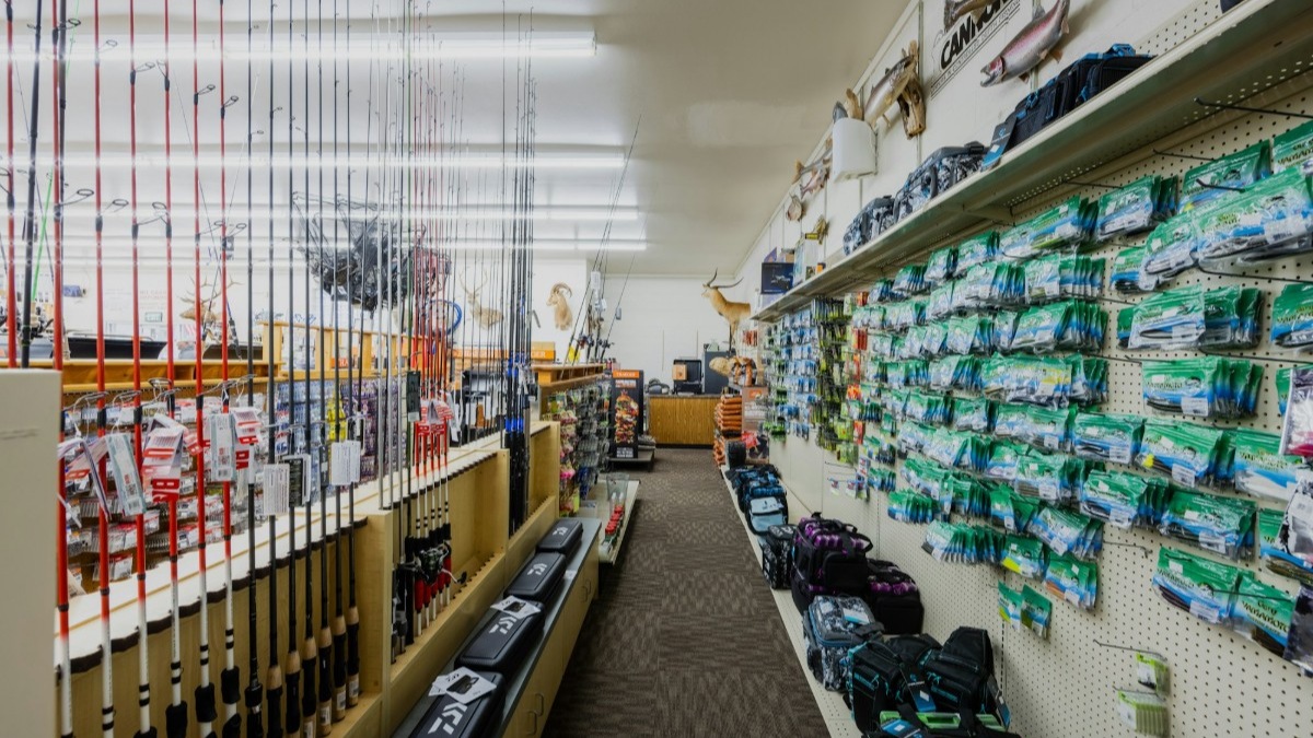 Ross Coin & Gun Image