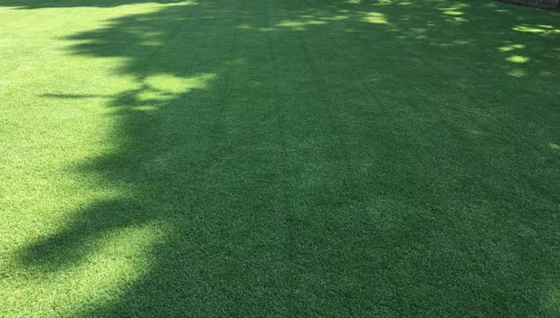 Images Greenway Lawn Care