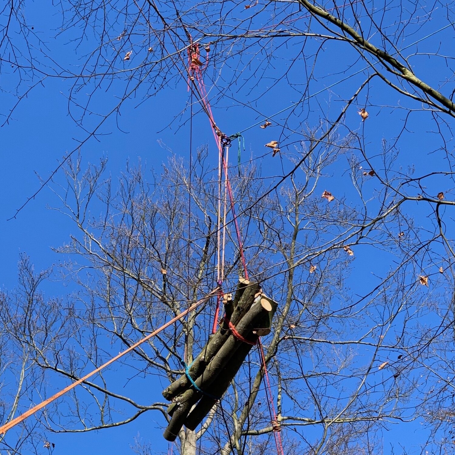Fotos - Nootenboom bv - 12