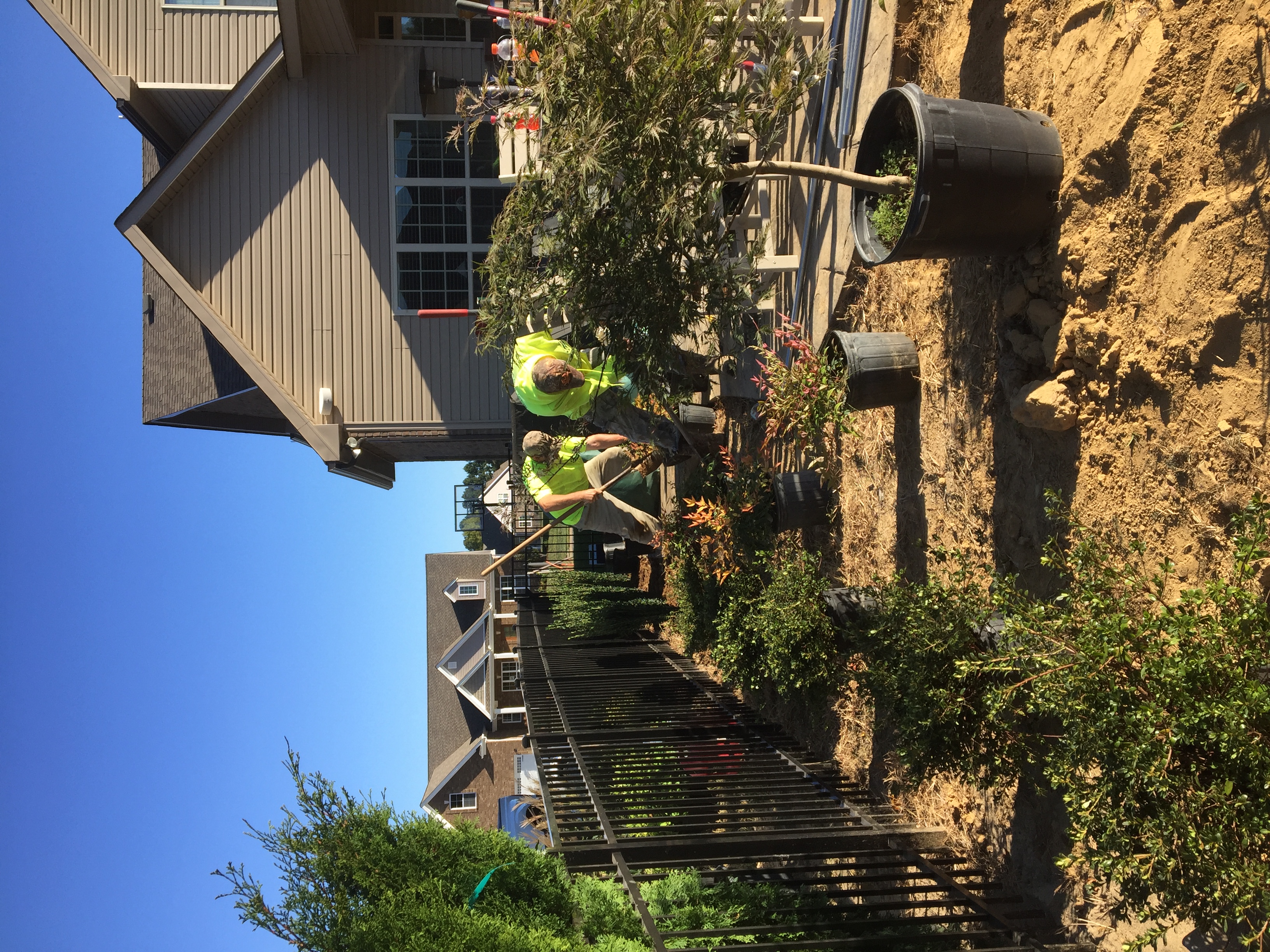 Affordable Lawn Care Image