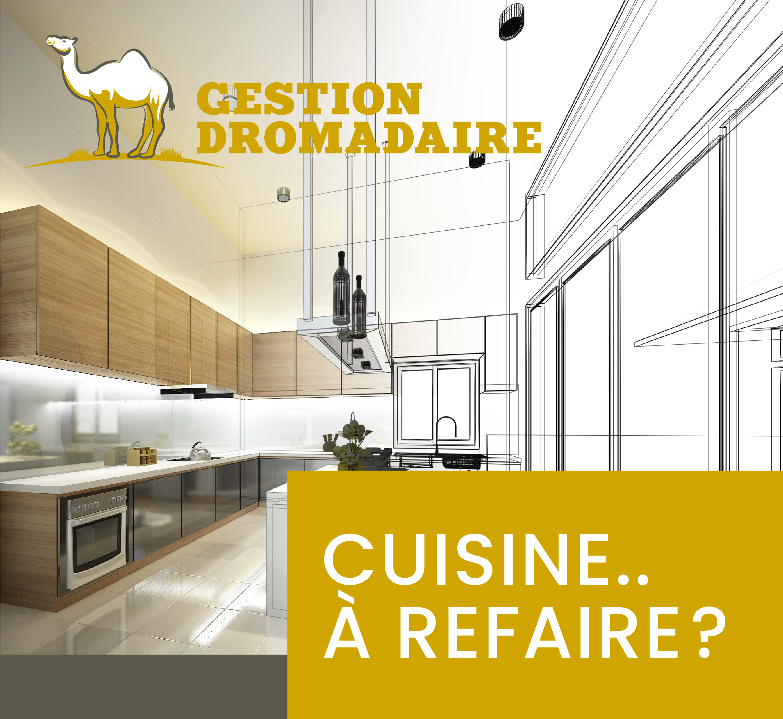 Images Gestion Dromadaire Inc