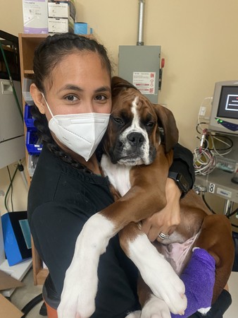 Images VCA SouthPaws Veterinary Specialists & Emergency Center