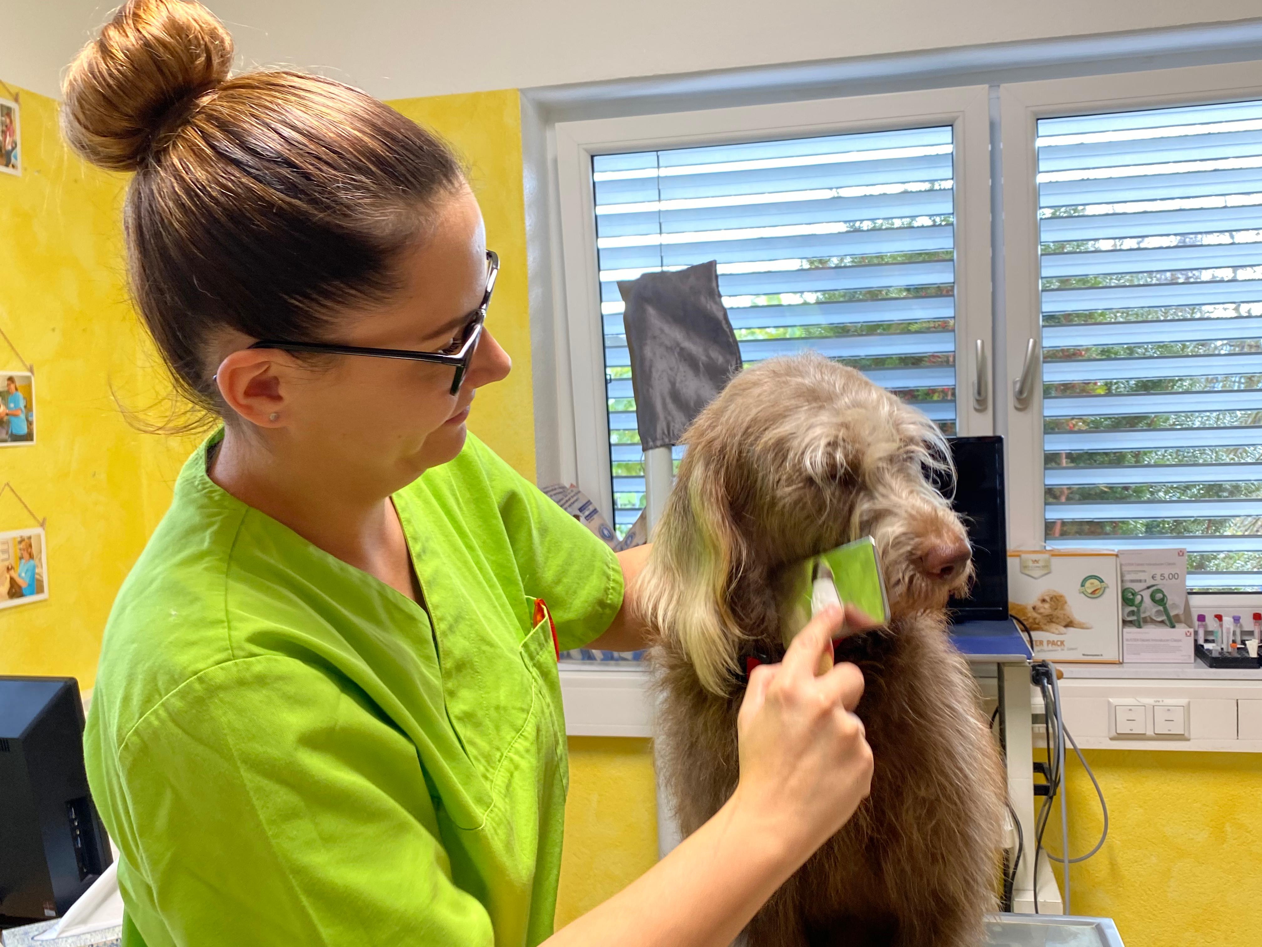 TGZ-Tiergesundheitszentrum GmbH Dr.med.vet. Birgit Dastig, Ragnitz 105 in Ragnitz