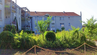 SPITEX-Verein Bolligen, Rüedimatte 2 in Bolligen