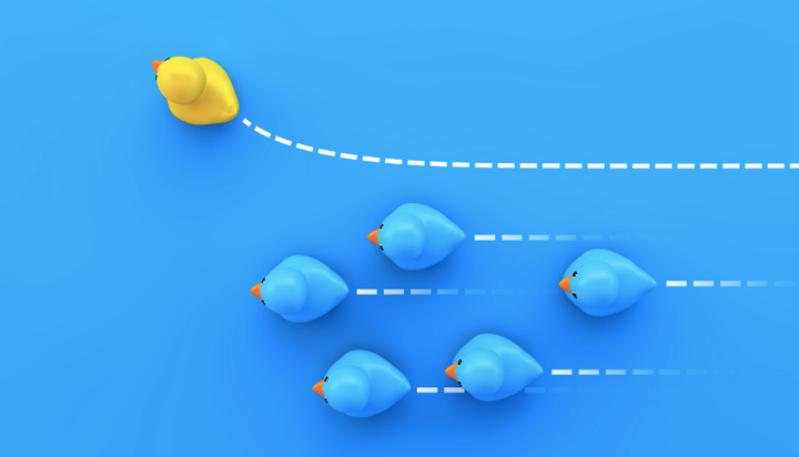 main blog image