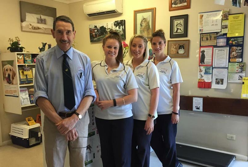 Images Glenvale Veterinary Clinic