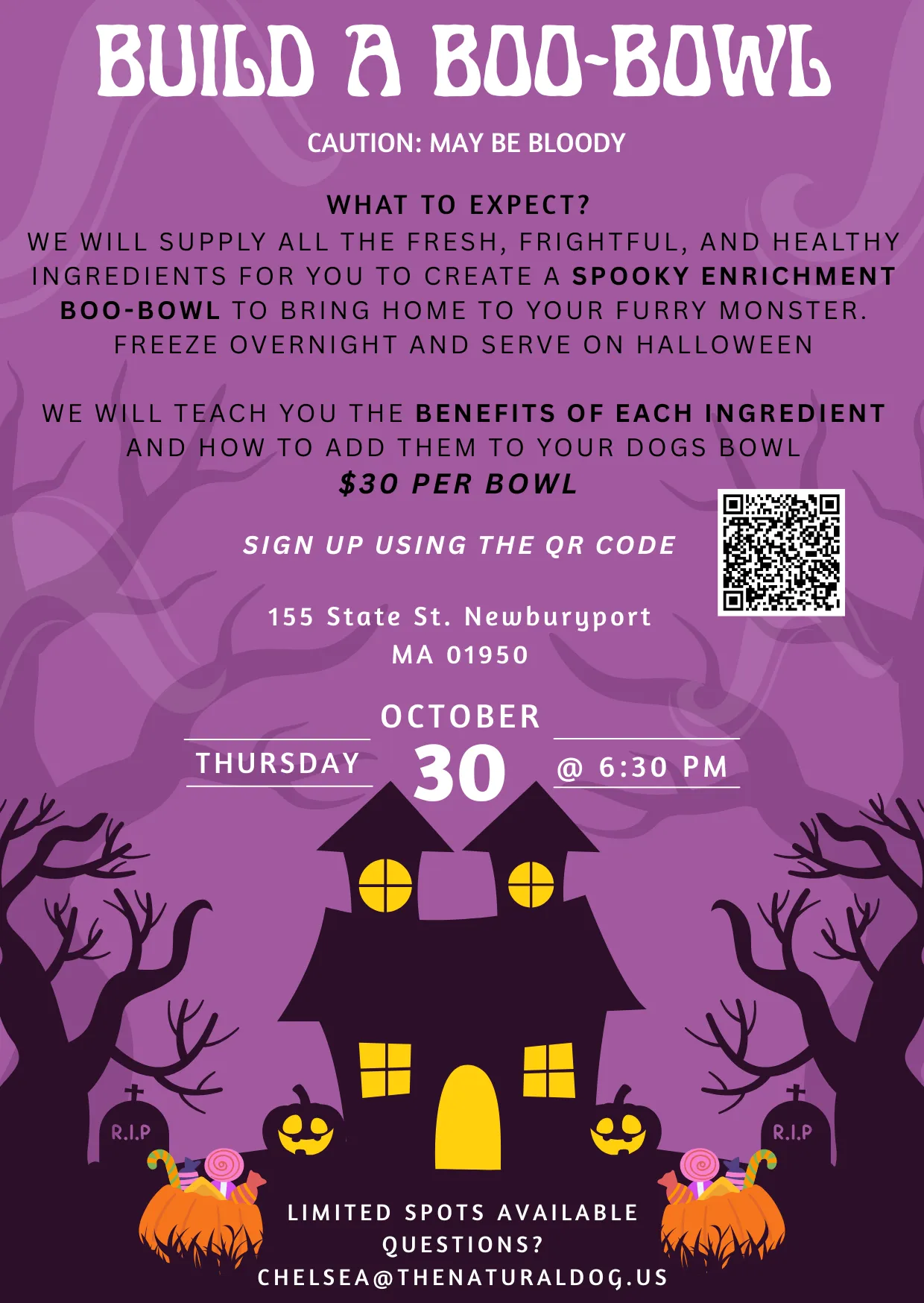 Image of Local Pet Event Build A Boo-Bowl in Newburyport Nearby