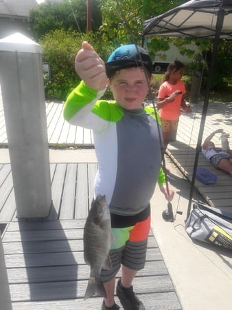 Images Camp Live Oak