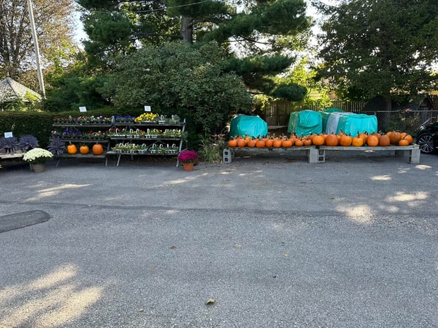 Images Puritas Nursery & Garden Center