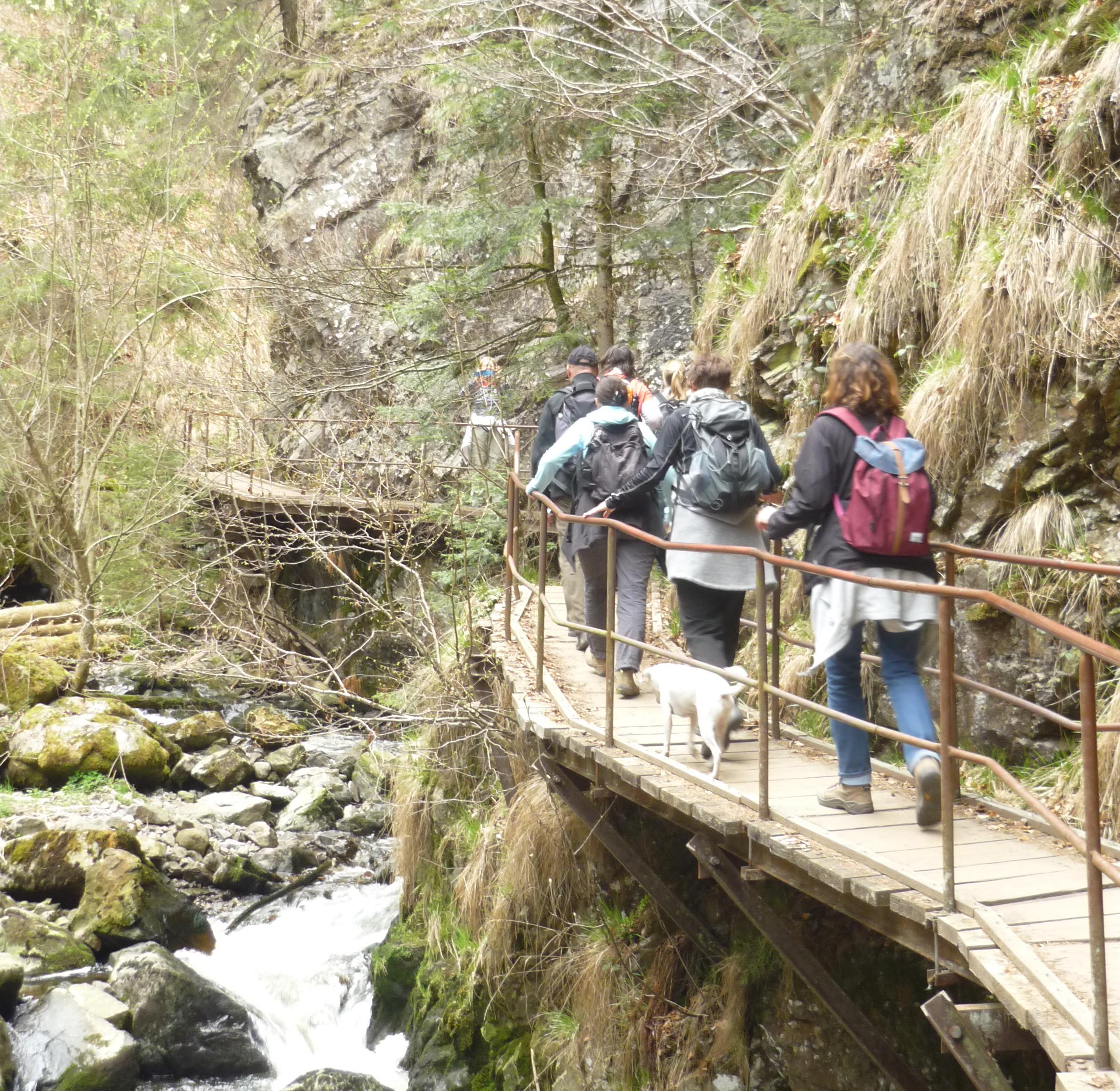 Erlebnisfasten - Fastenwandern Schwarzwald, Am Fischrain 6 in Sankt Blasien