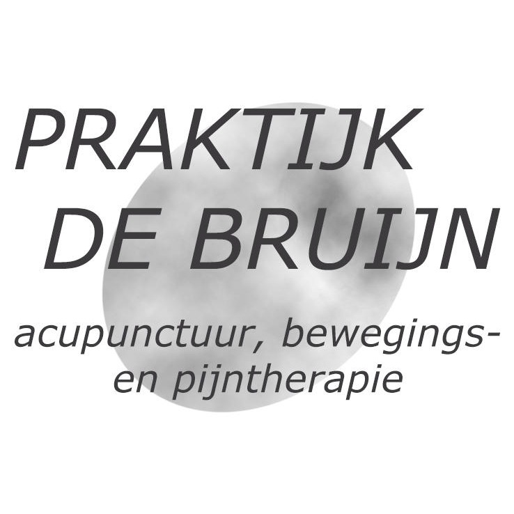 Acupunctuurnijmegen.nl Praktijk de Bruijn Logo
