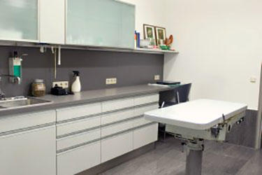 Tierarztpraxis Eggenberg Dipl-TA Greilberger Rainer, Karl-Morre-Straße 19 in Graz