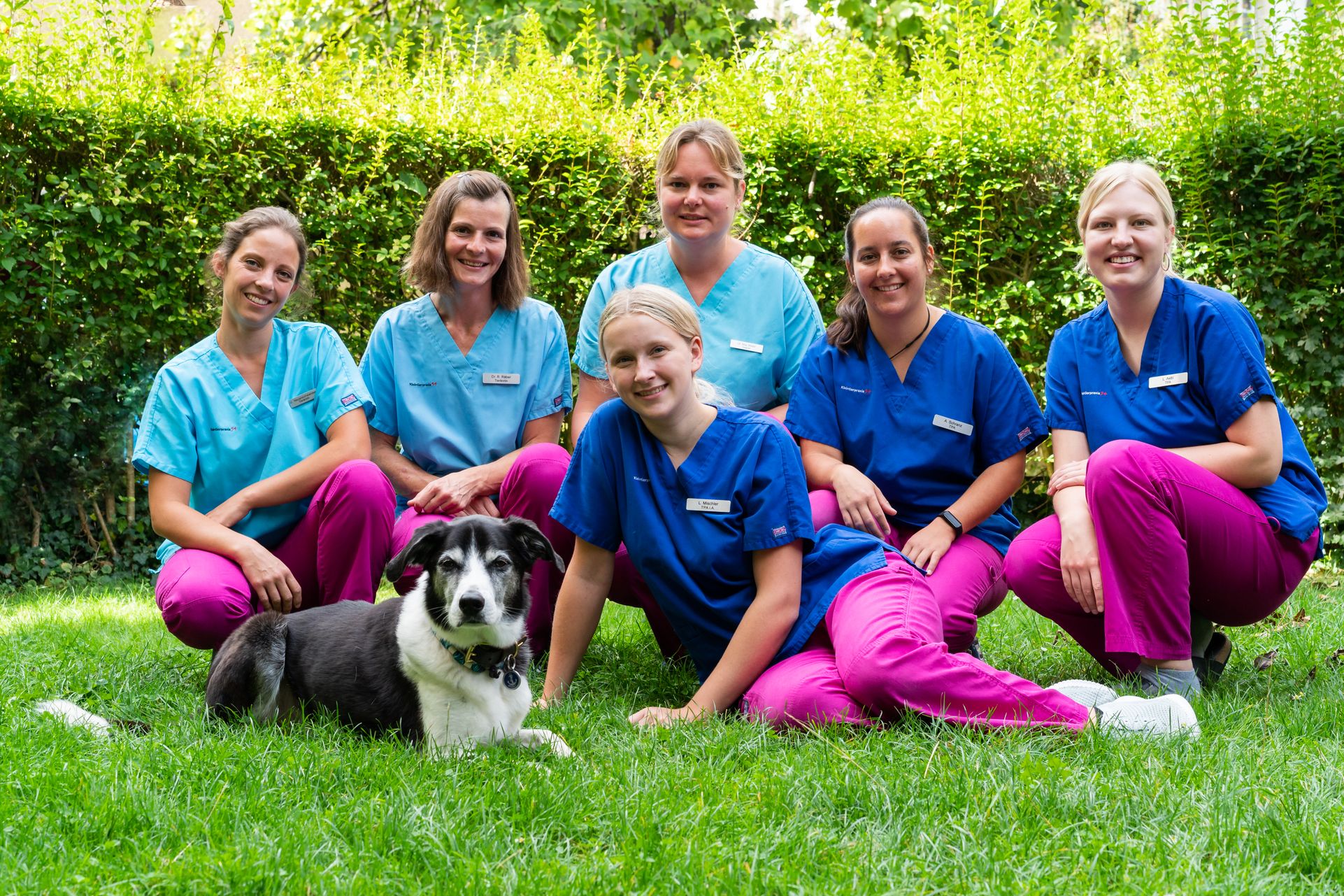 Bilder Kleintierpraxis 54