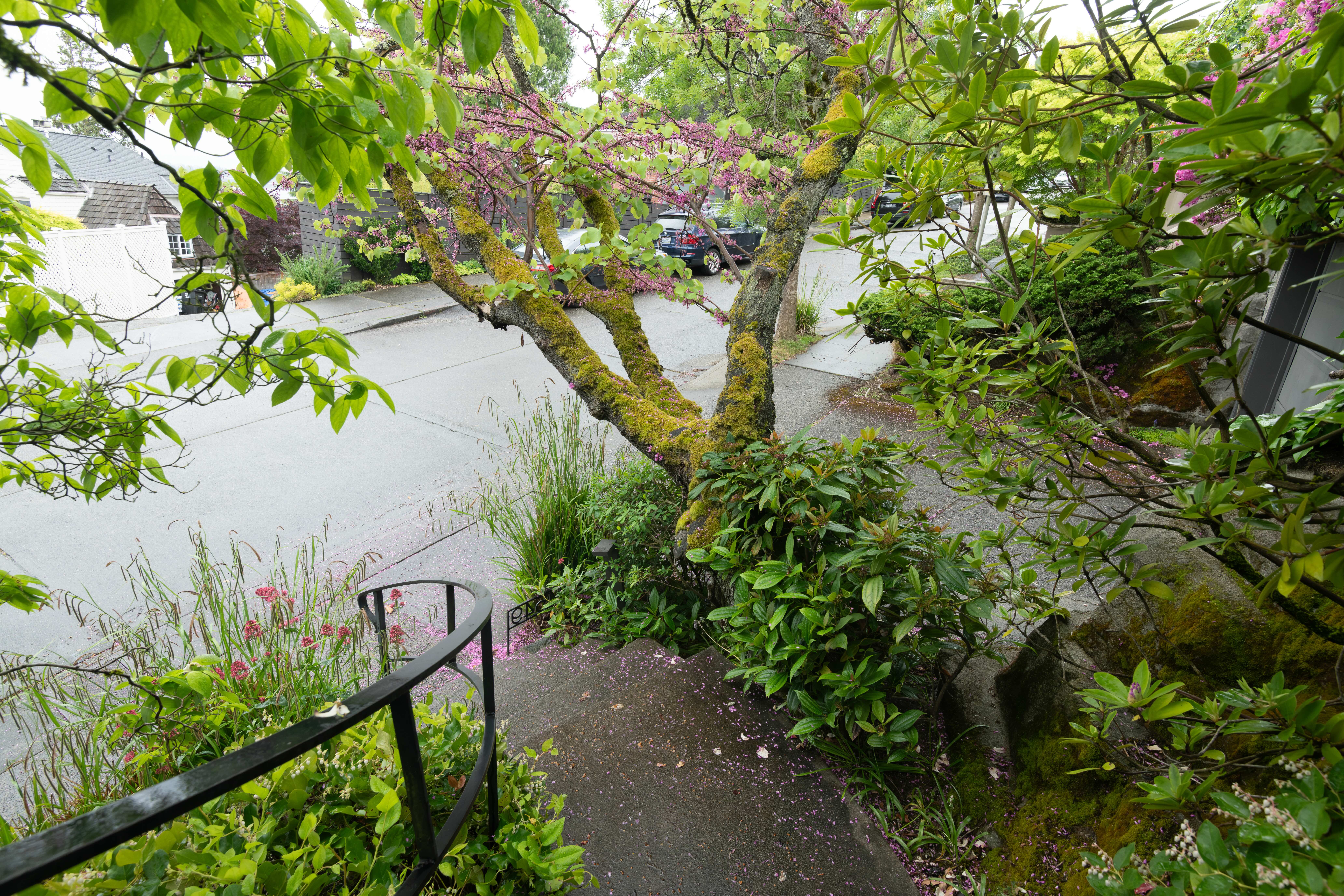 Sokolove Law Seattle Mesothelioma Law Firm Office Grounds 