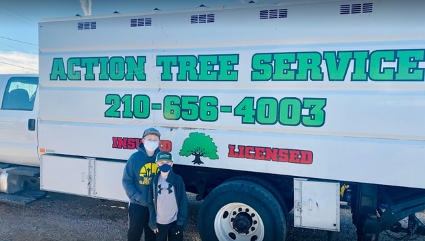 Images Action Tree Service
