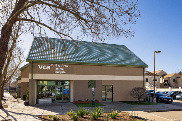 Images VCA Bay Area Animal Hospital