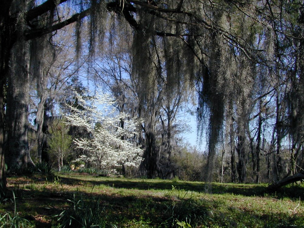 Bestattungsdienst Hedy Linder-Walther AG, Zieglerstrasse 26 in Bern