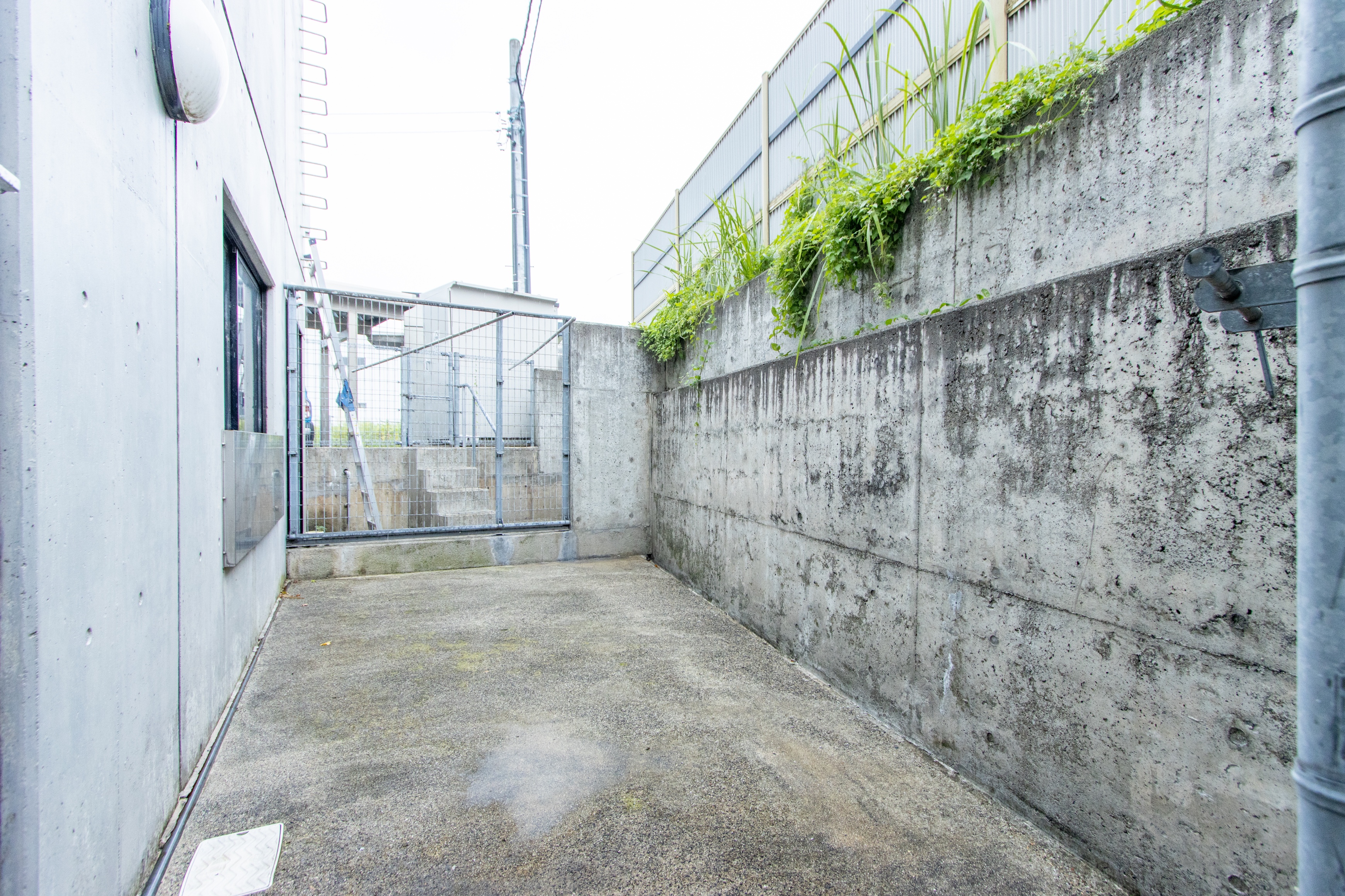 Images 高島獣医科富山病院
