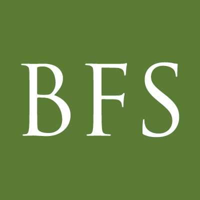 Business & Financial Strategies Logo