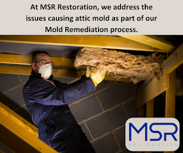 Images MSR Restoration