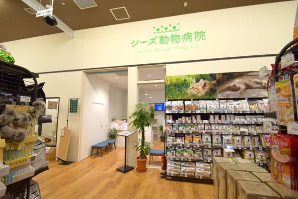 Images シーズ動物病院