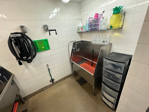 Images Petco Grooming