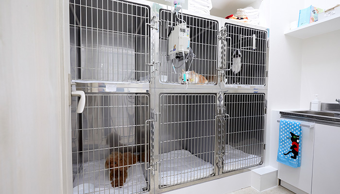 Images The vet 南麻布動物病院