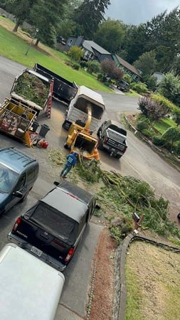 Images Brothers Tree service & Landscaping