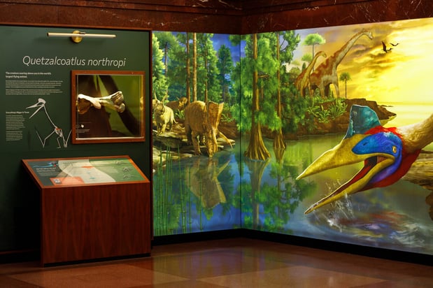 Images Texas Science & Natural History Museum