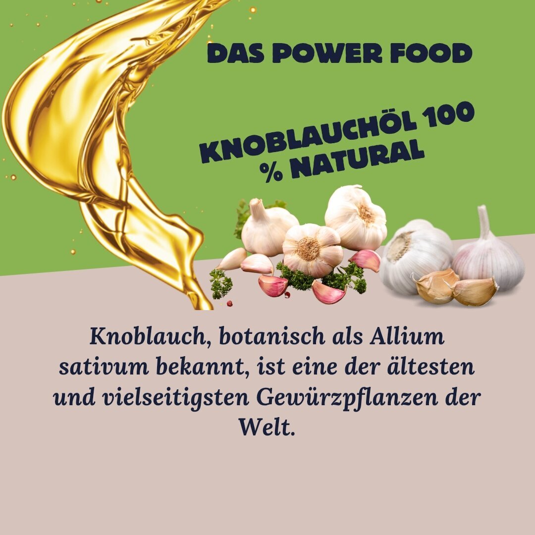 KSH KOCH Knoblauchmanufaktur in Osterburken