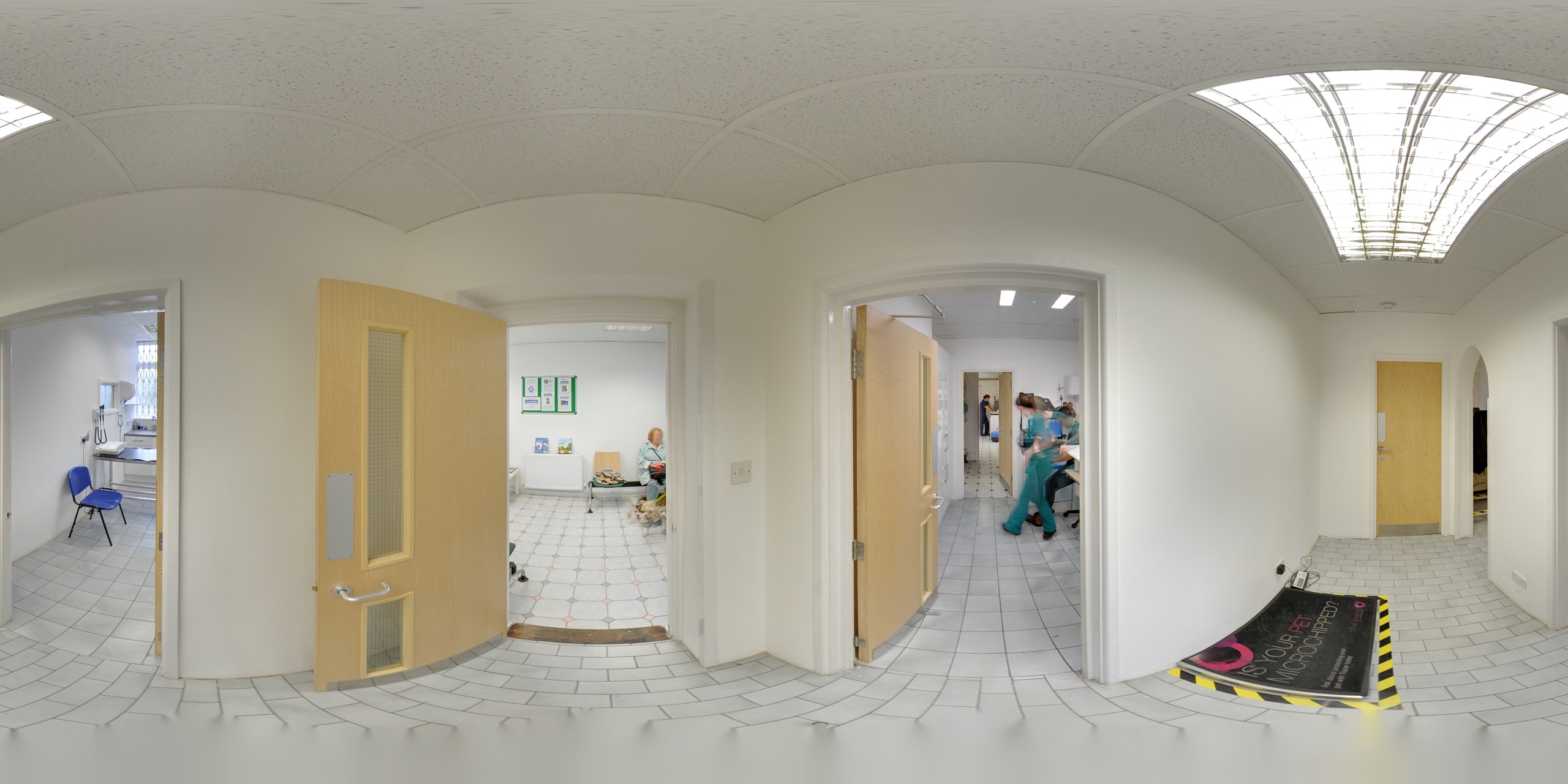 Images Streatham Hill Veterinary Surgery