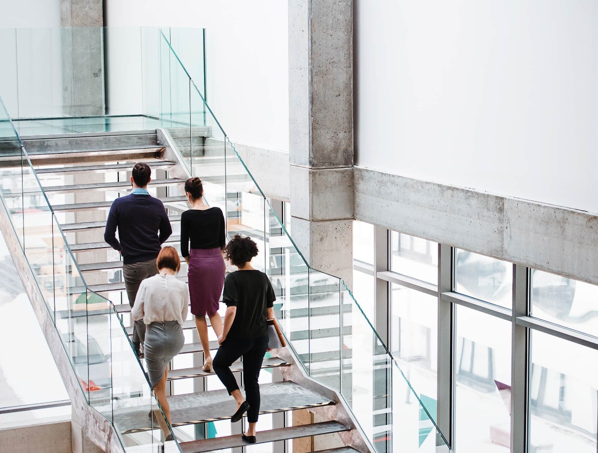 Pink Ibex GmbH, Rebbergstrasse 13 in Wohlen AG