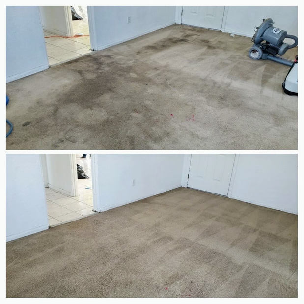 Images Immaculate Home Chem-Dry
