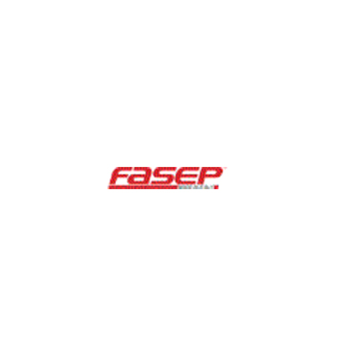Fasep 2000 Logo