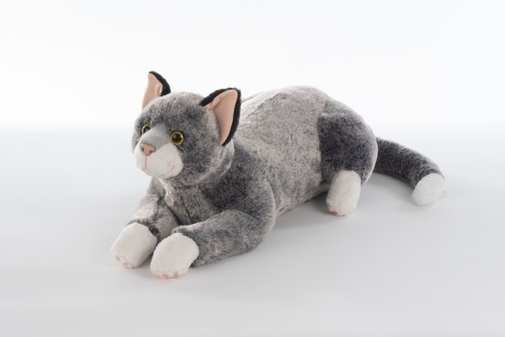 Altera Vita GmbH & Co. KG, In der Unteren Rombach 12 in Heidelberg