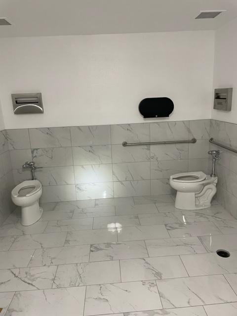 Samy's Plumbing- toilet repair