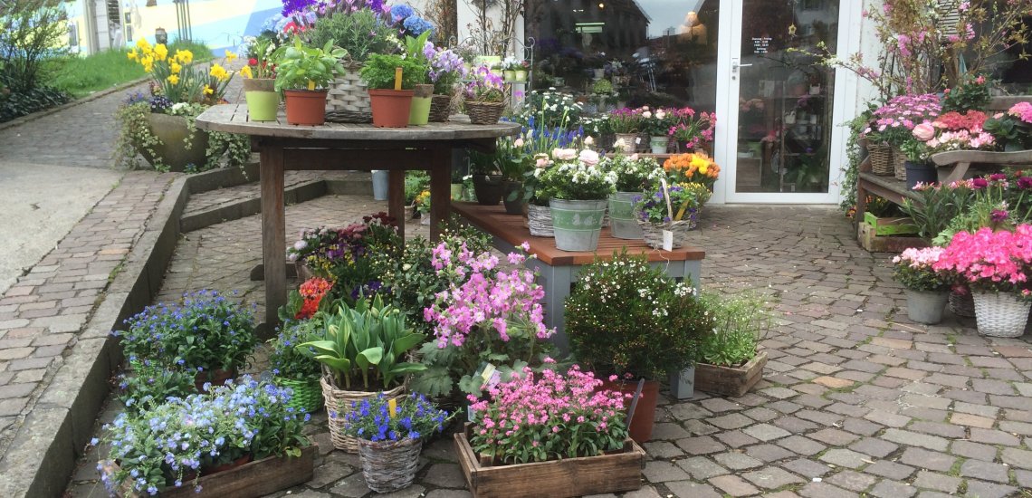 Monette's Blütenpracht GmbH, Kirchenstrasse 13 in Zug