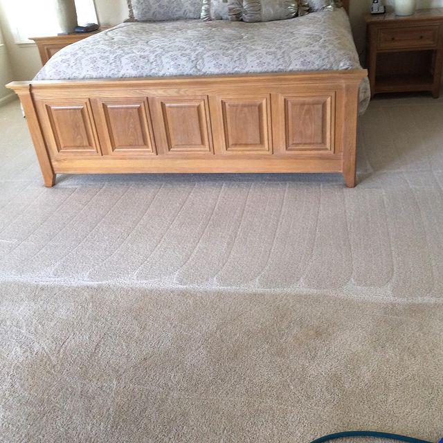 Images Siggy's Carpet Cleaning
