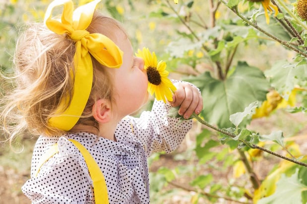 Images A Joy Story Photography