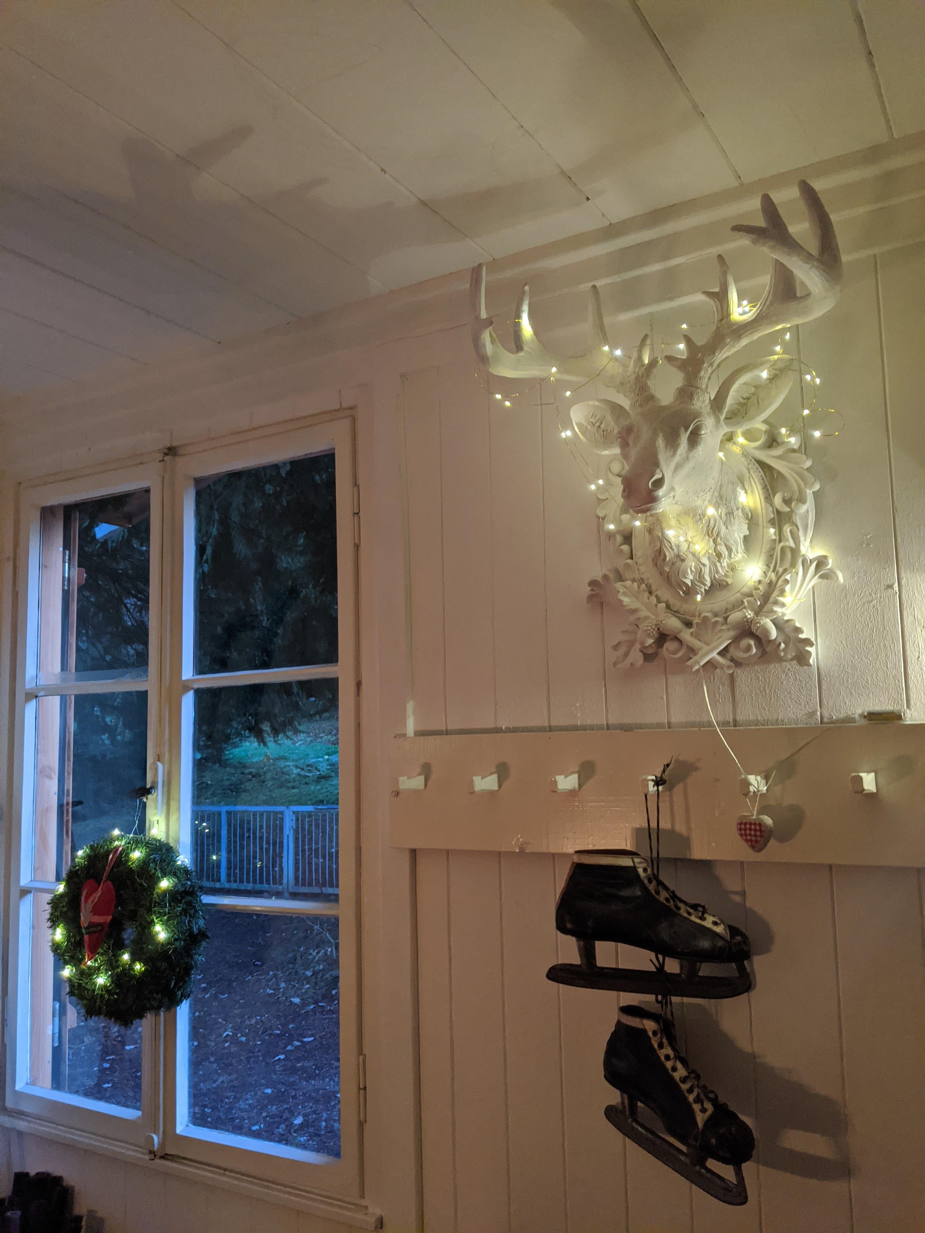 Bilder NaturPur Events - Outdoor Activities