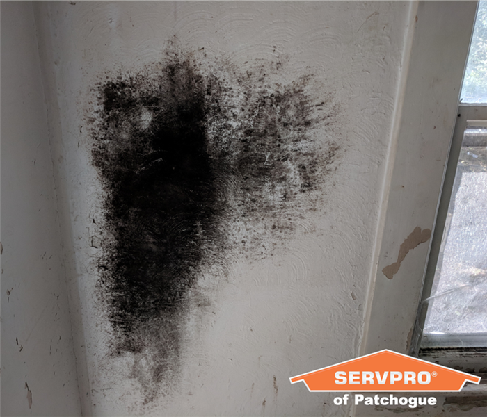 Mold Growth in Vacation Home