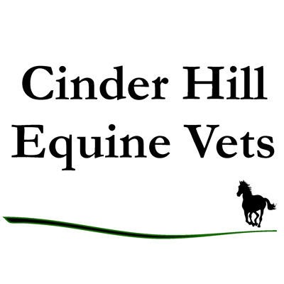 Cinder Hill Equine Clinic Logo