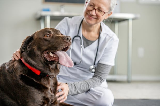 Images Banfield Pet Hospital