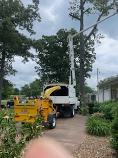 Images Rikin Tree Services