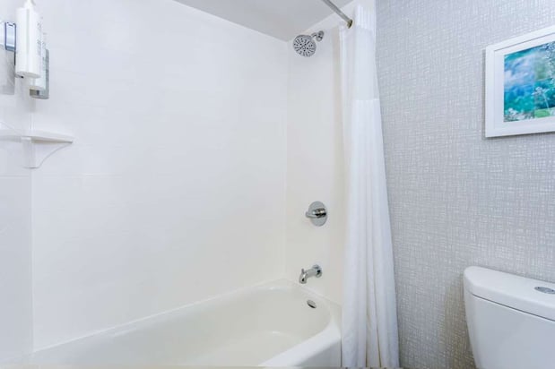 Images Hampton Inn Jacksonville-Downtown-I-95
