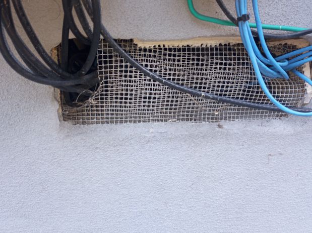 Images Rodent Solution