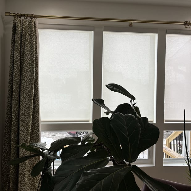 Images Budget Blinds of Central Indianapolis