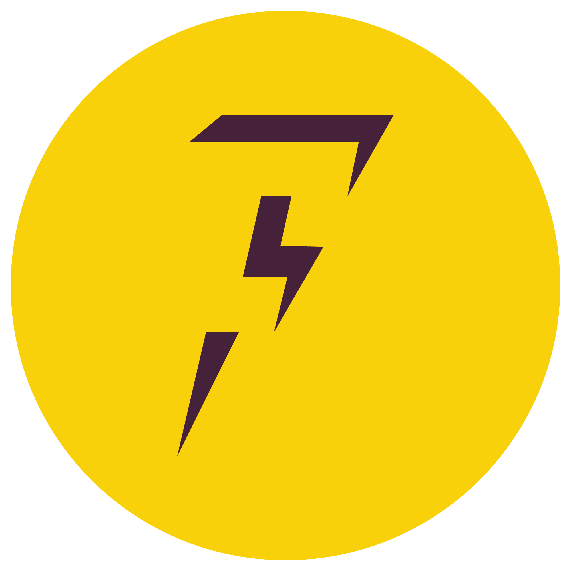 Flash Delivery Logo