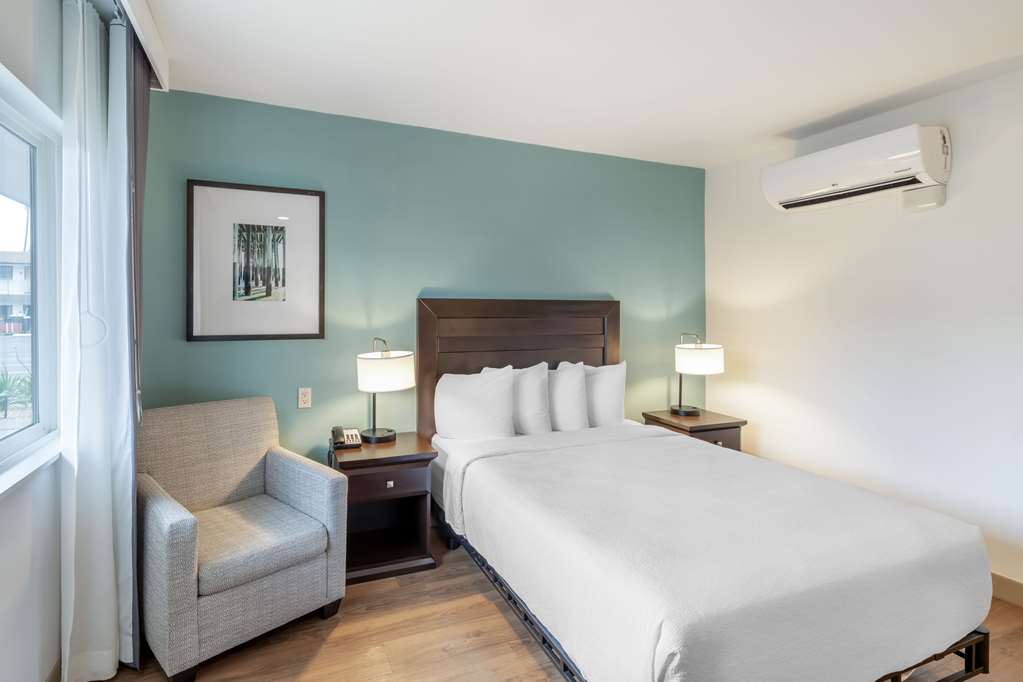 Queen Room