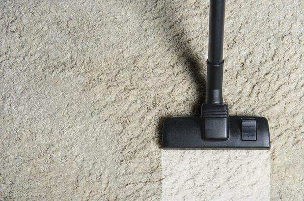 Images Royalty Carpet Cleaning Bethesda MD